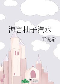 《海言柚子汽水》
