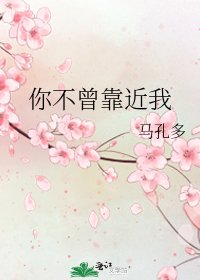 《你不曾靠近我》