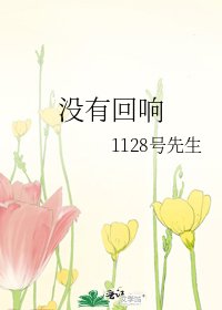 《没有回响》