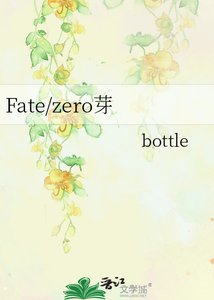 《Fate/zero芽》