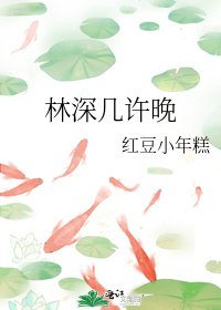 林深几许晚