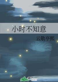 小时不知意