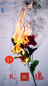 《那束火玫瑰》