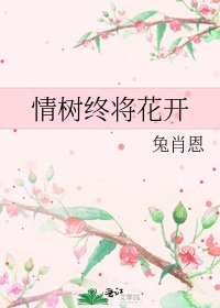 《情树终将花开》