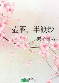 《一壶酒,半渡纱》