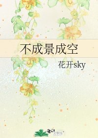 《不成景成空》