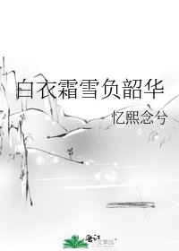 《白衣霜雪负韶华》