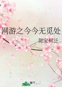 《网游之今今无觅处》