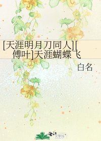 [天涯明月刀同人][傅叶]天涯蝴蝶飞