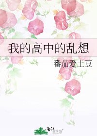《我的高中的乱想》