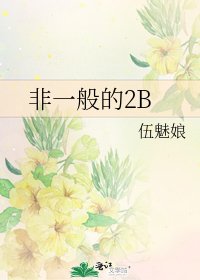 《非一般的2B》