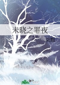 《未晓之罪夜》