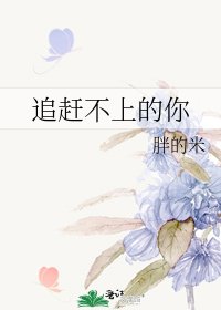 《追赶不上的你》