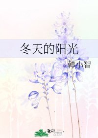 《冬天的阳光》