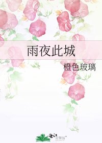 《雨夜此城》