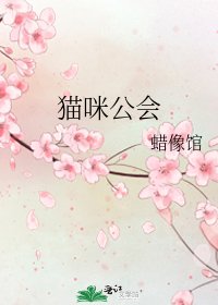 《猫咪公会》