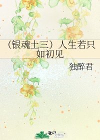 《(银魂土三)人生若只如初见》