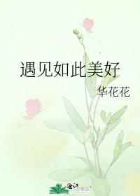 《遇见如此美好》