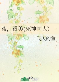 《夜,很美(死神同人)》