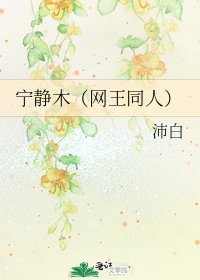 《宁静木(网王同人)》