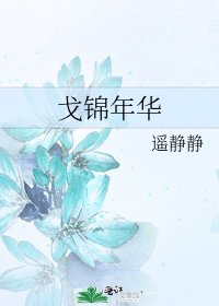 《戈锦年华》