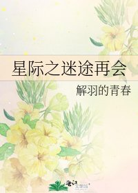 《星际之迷途再会》