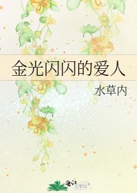 《金光闪闪的爱人》