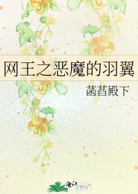 《网王之恶魔的羽翼》