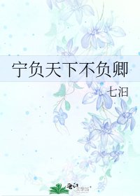 《宁负天下不负卿》