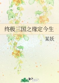 终极三国之缘定今生