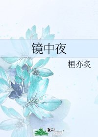 《镜中夜》