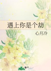 《遇上你是个劫》