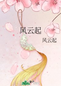 风云起