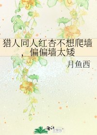 《猎人同人红杏不想爬墙,偏偏墙太矮》