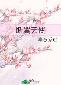 《断翼天使》