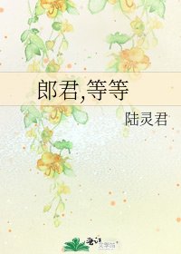 《郎君,等等》