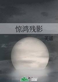 《惊鸿残影》