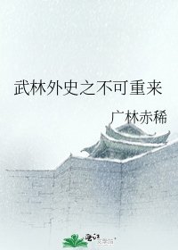 武林外史之不可重来