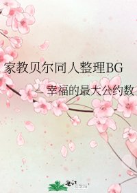 家教贝尔同人整理BG