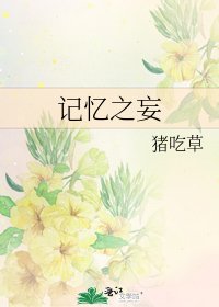 《记忆之妄》