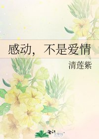 感动，不是爱情
