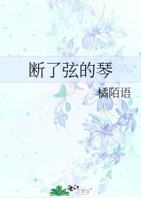 《断了弦的琴》