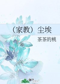 （家教）尘埃