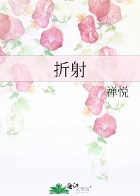 《折射》