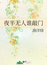 夜半无人谁敲门