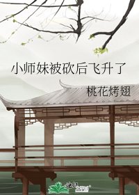 小师妹被砍后飞升了