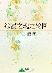 《综漫之魂之轮回》