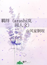 《羁绊(arashi岚同人文)》