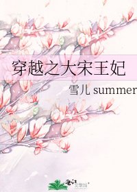 《穿越之大宋王妃》