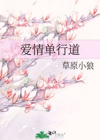 《爱情单行道》